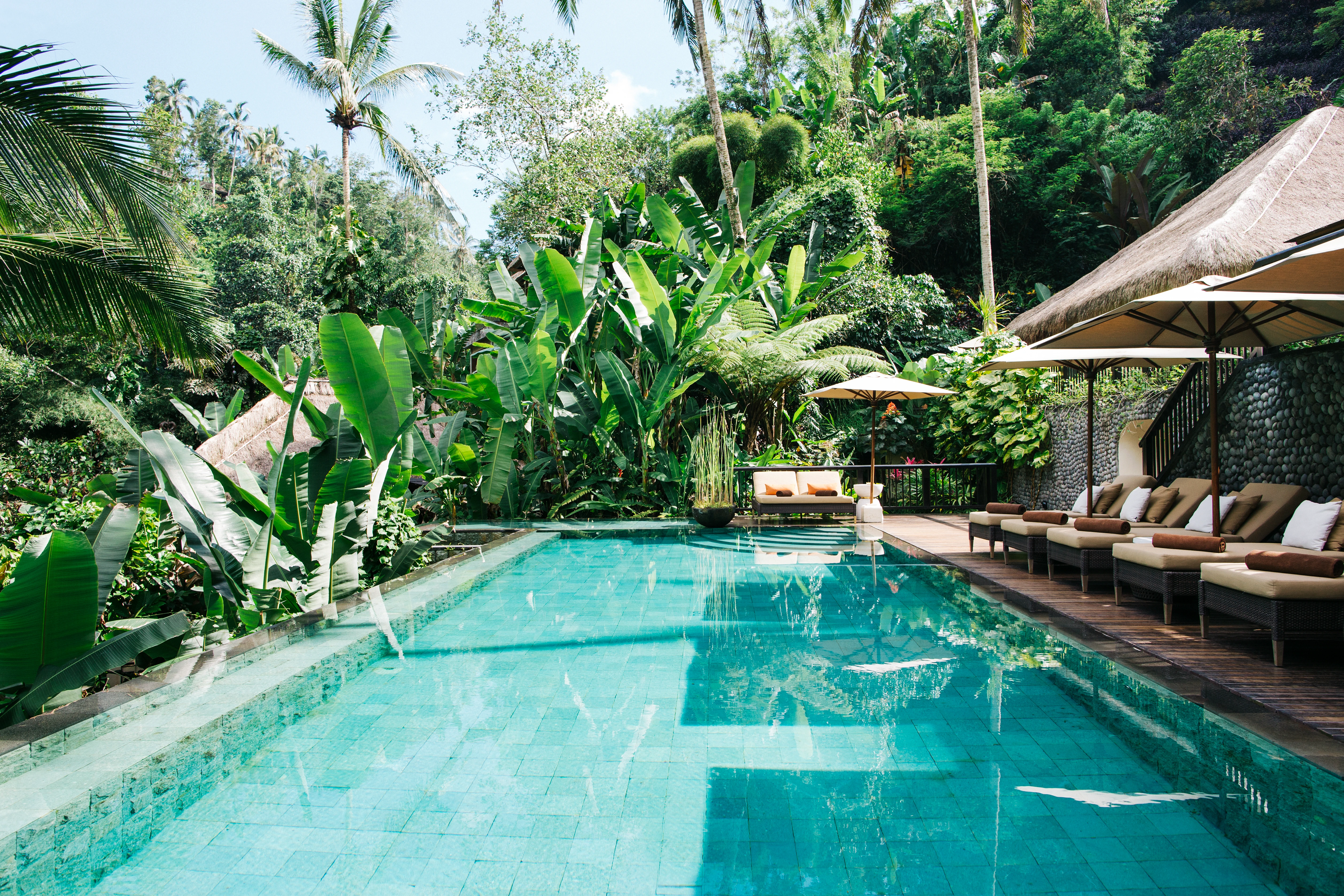Infinity Pool